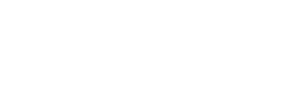 Logo VMP Academy